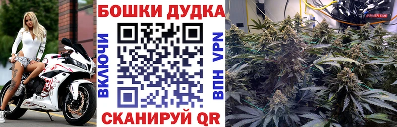 Что такое Салехард Alpha PVP  Амфетамин  mega как войти  Гашиш  Cocaine 