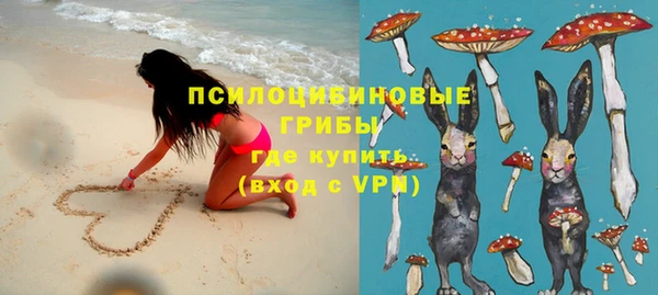 ПСИЛОЦИБИНОВЫЕ ГРИБЫ Алексин