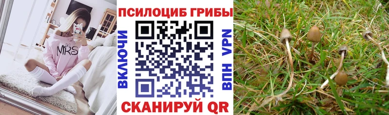наркошоп  Салехард  omg сайт  Псилоцибиновые грибы Magic Shrooms 
